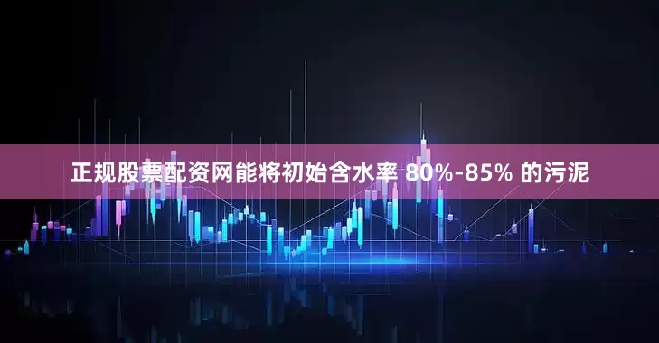 正规股票配资网能将初始含水率 80%-85% 的污泥