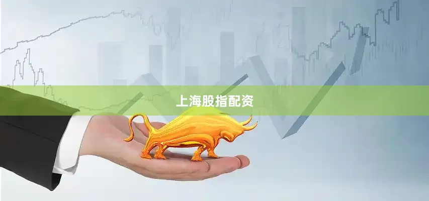 上海股指配资