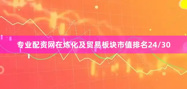 专业配资网在炼化及贸易板块市值排名24/30