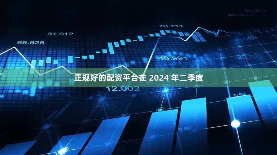 正规好的配资平台在 2024 年二季度