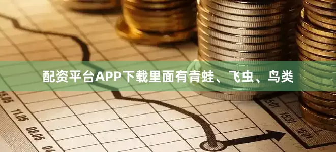 配资平台APP下载里面有青蛙、飞虫、鸟类